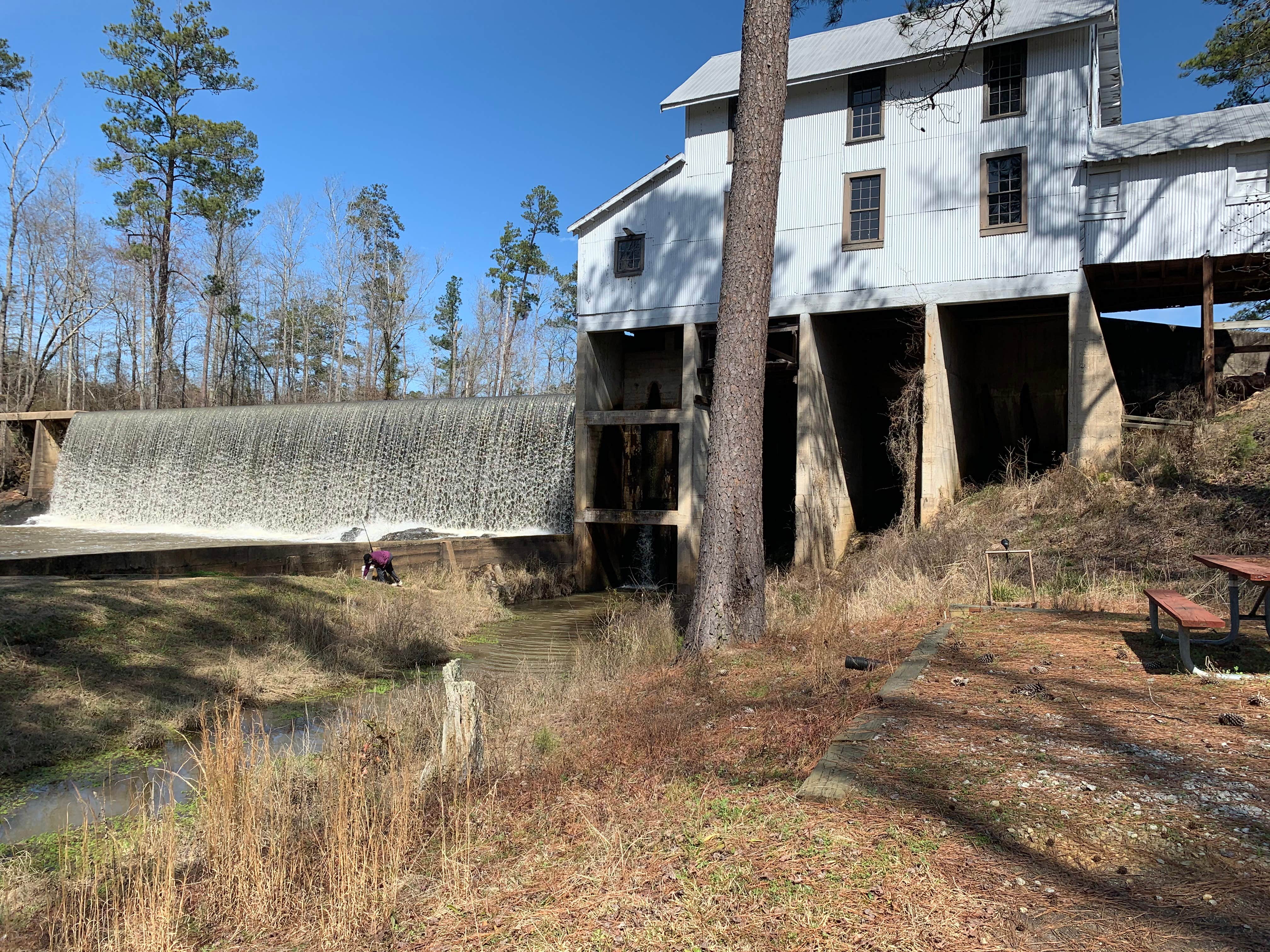 Camper submitted image from Hamburg State Outdoor Recreation Area - 5