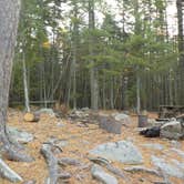 Review photo of Portage Site by Sarah C., March 1, 2021