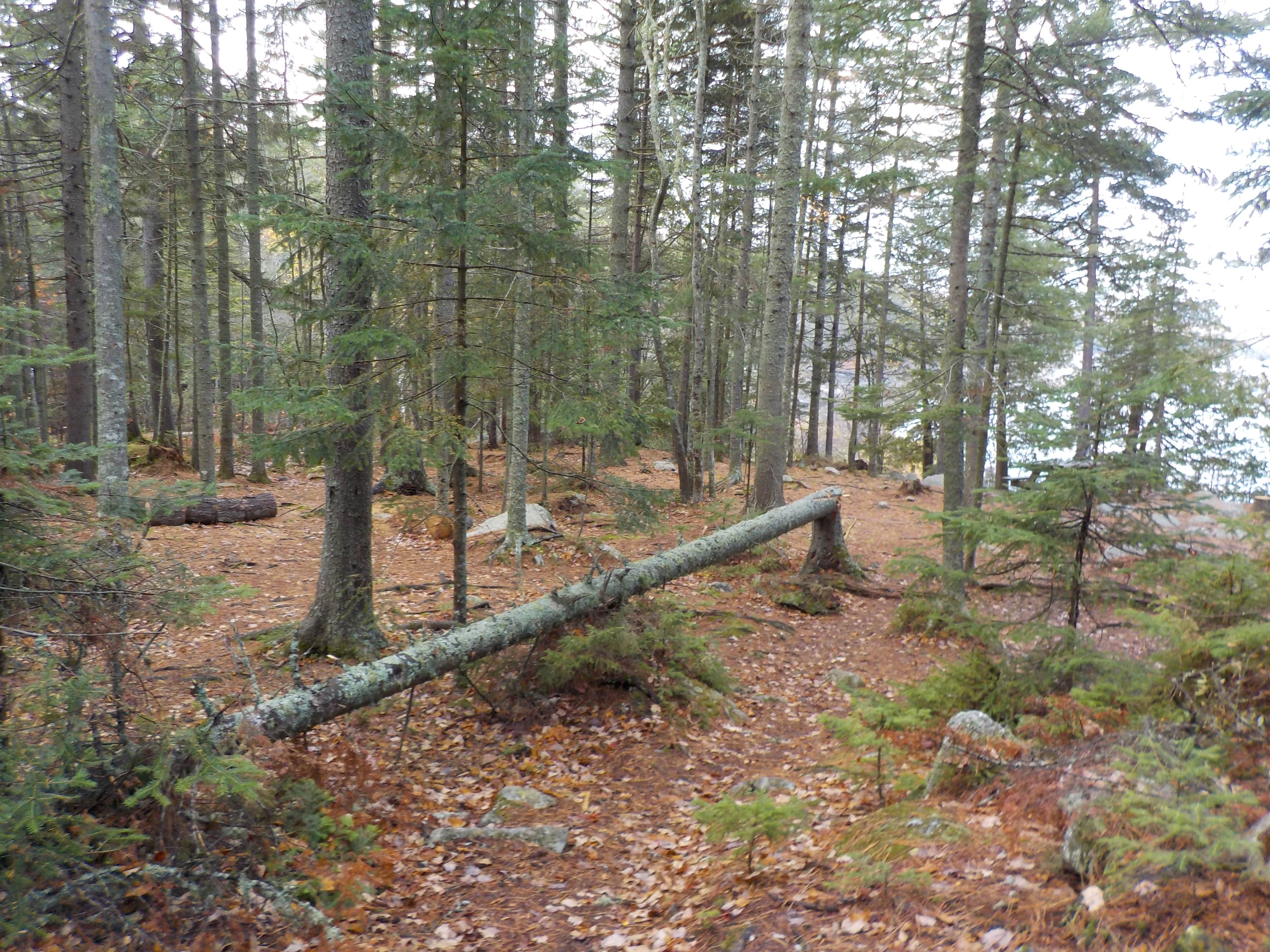 Camper submitted image from Portage Site - 4
