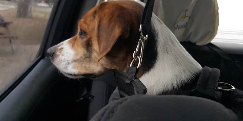 Camper submitted image from Little Rock North KOA