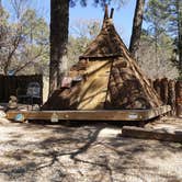 Review photo of Midtown Mountain Campground & RV Park by Tashi K., March 1, 2021