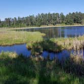 Review photo of Bear Paw Campground — Itasca State Park by Nicole P., May 30, 2018