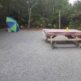 Review photo of Henderson Beach State Park Campground by Judith P., March 1, 2021