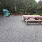 Review photo of Henderson Beach State Park Campground - TEMPORARILY CLOSED by Judith P., March 1, 2021