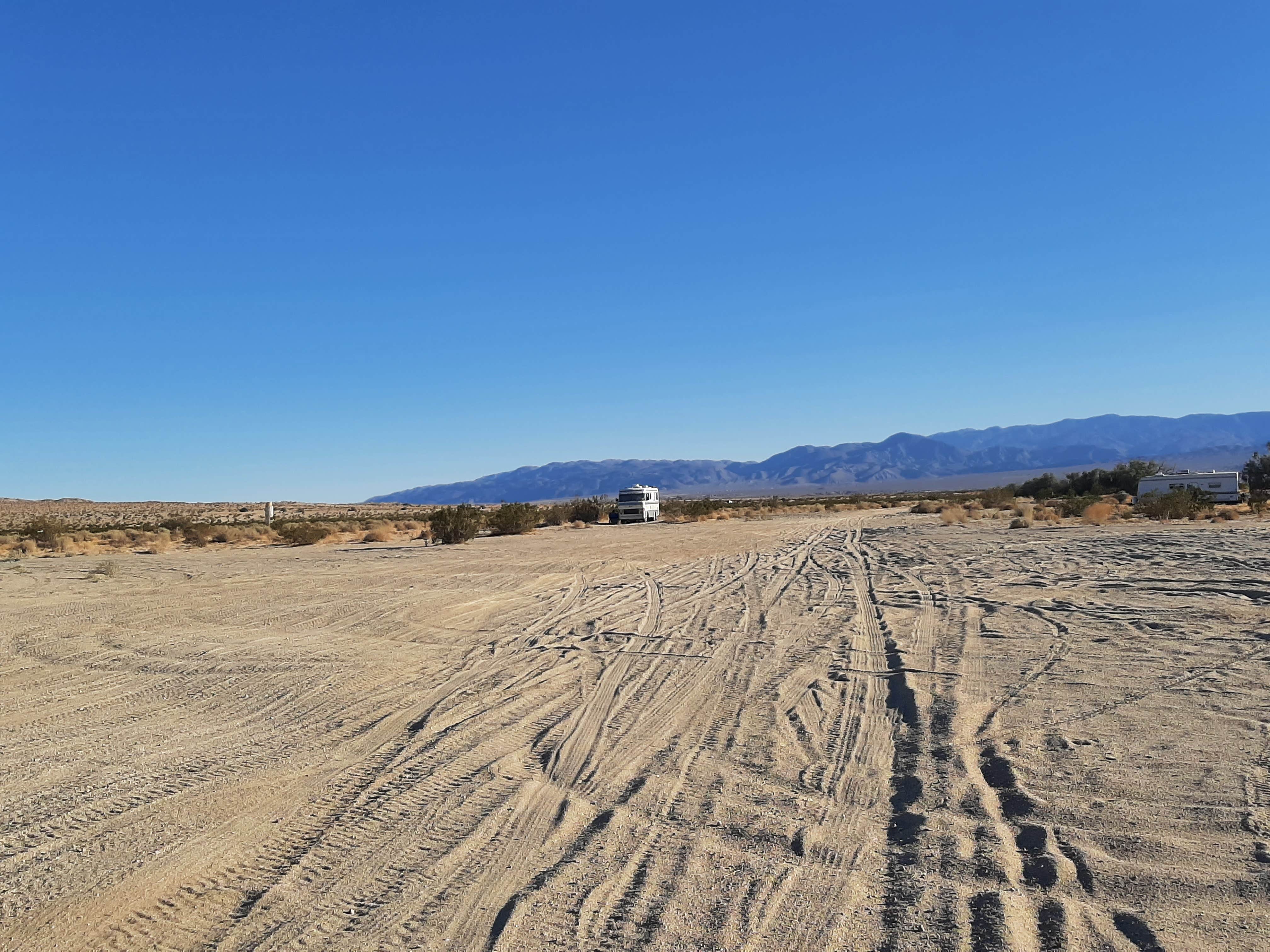 Camper submitted image from Anza-Borrego Desert State Park (Peg Leg Smith) - 2