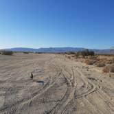 Review photo of Anza-Borrego Desert State Park (Peg Leg Smith) by Larry B., March 1, 2021