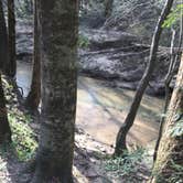 Review photo of Sipsey Wilderness Backcountry Site (Trail 200 Site J) by Asher K., March 1, 2021