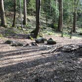 Review photo of Sipsey Wilderness Backcountry Site (Trail 200 Site J) by Asher K., March 1, 2021