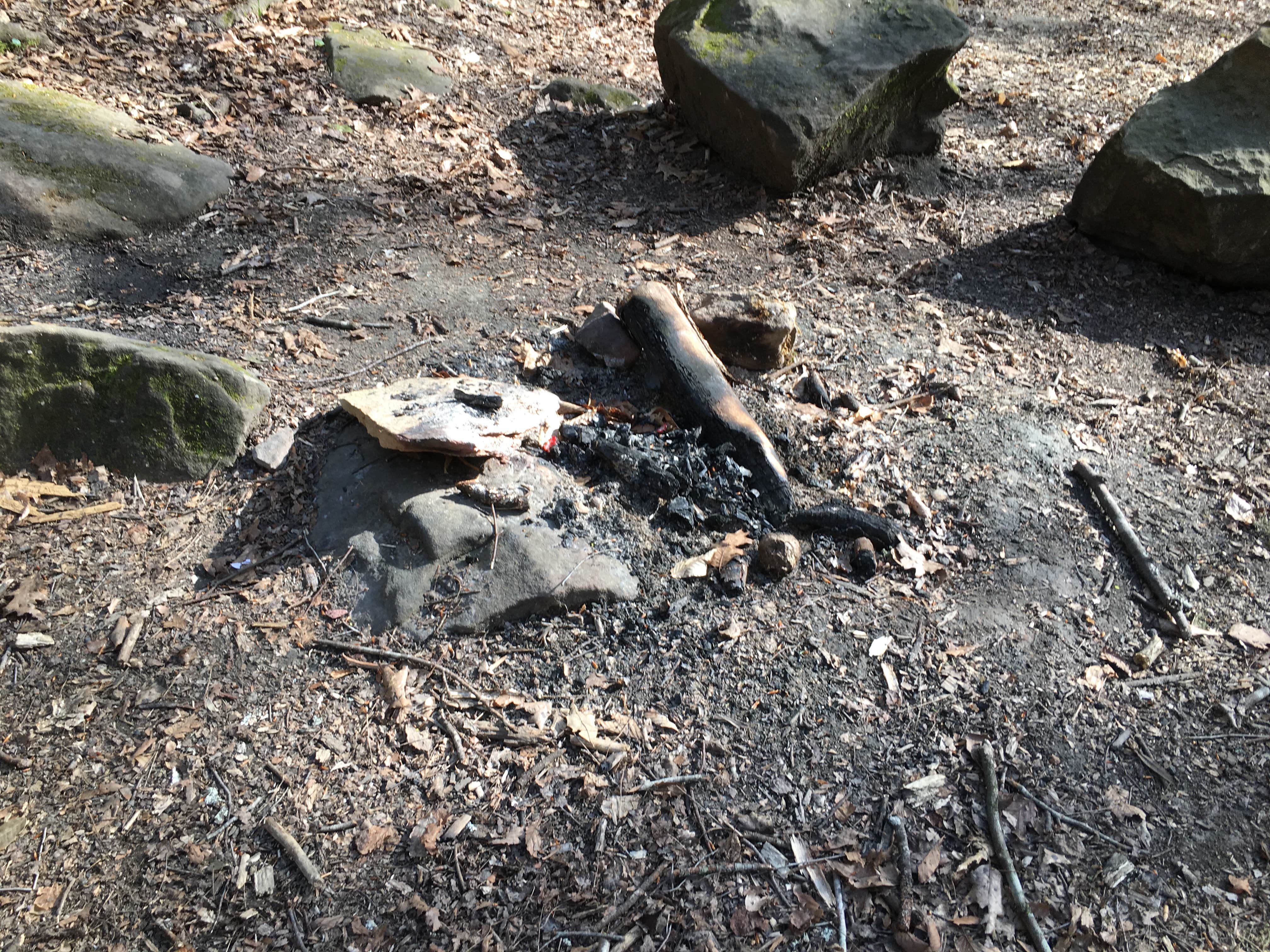 Camper-submitted photo at Sipsey Wilderness Backcountry Site (Trail 200 Site J) near Warrior, AL