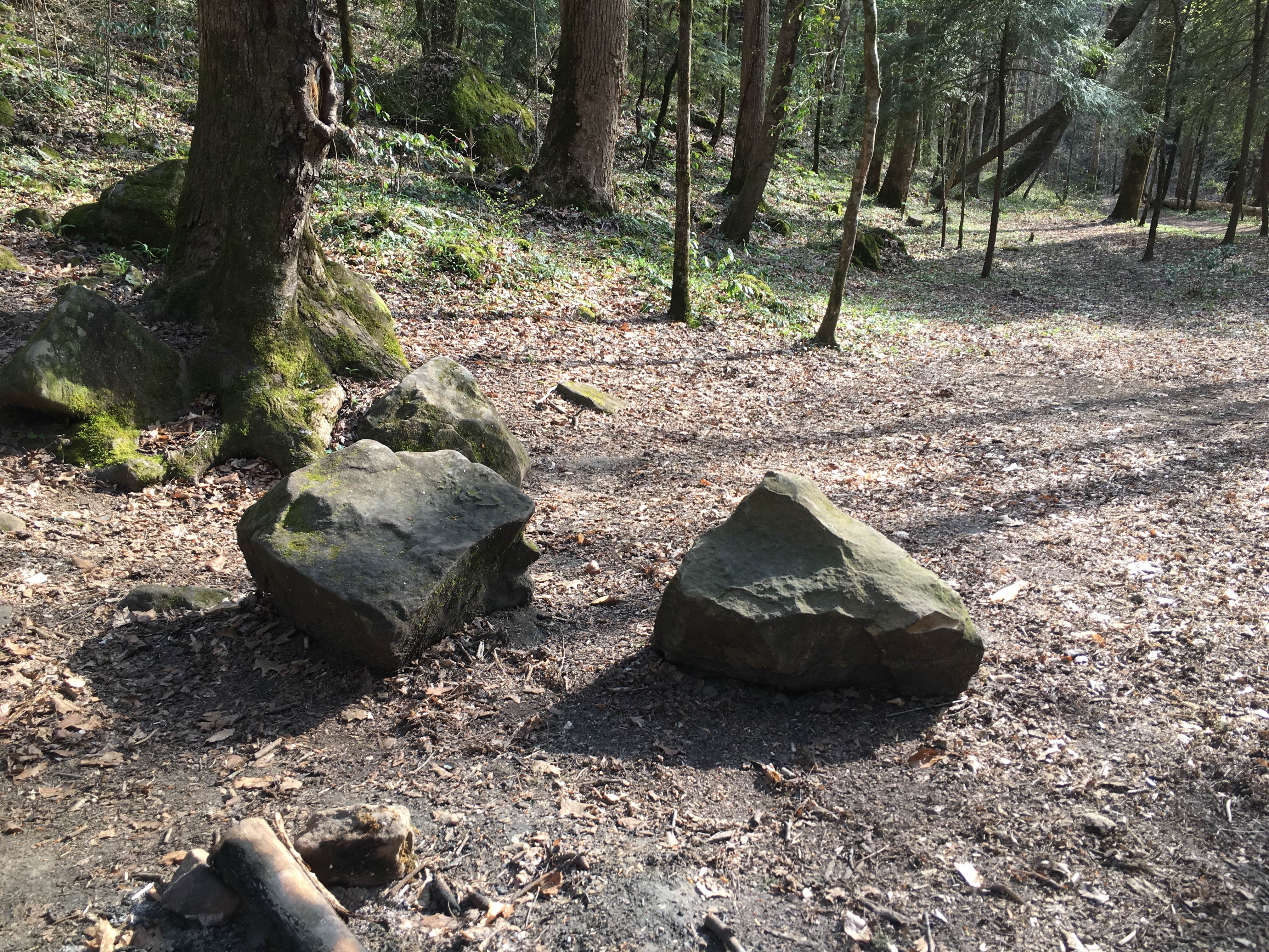 Camper-submitted photo at Sipsey Wilderness Backcountry Site (Trail 200 Site J) near Warrior, AL