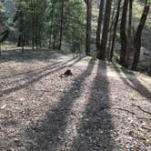 Review photo of Sipsey Wilderness Backcountry Site (Trail 200 Site J) by Asher K., March 1, 2021