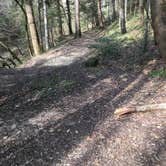 Review photo of Sipsey Wilderness Backcountry Site (Trail 200 Site J) by Asher K., March 1, 2021