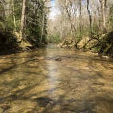 Review photo of Sipsey Wilderness Backcountry Site (Trail 200 Site J) by Asher K., March 1, 2021