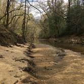 Review photo of Sipsey Wilderness Backcountry Site (Trail 200 Site J) by Asher K., March 1, 2021