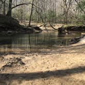 Review photo of Sipsey Wilderness Backcountry Site (Trail 200 Site J) by Asher K., March 1, 2021