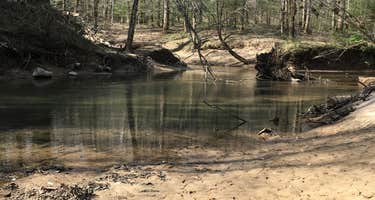 Sipsey Wilderness Backcountry Site (Trail 200 Site J)
