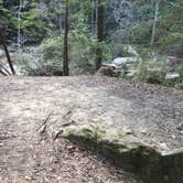 Review photo of Sipsey Wilderness Backcountry Site (Trail 200 Site L) by Asher K., March 1, 2021