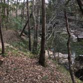 Review photo of Sipsey Wilderness Backcountry Site (Trail 200 Site L) by Asher K., March 1, 2021