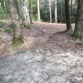 Review photo of Sipsey Wilderness Backcountry Site (Trail 200 Site L) by Asher K., March 1, 2021