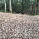 Review photo of Sipsey Wilderness Backcountry Site (Trail 200 Site L) by Asher K., March 1, 2021