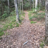 Review photo of Sipsey Wilderness Backcountry Site (Trail 200 Site L) by Asher K., March 1, 2021