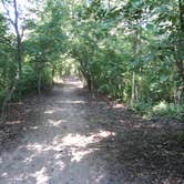 Review photo of Kelleys Island State Park Campground by Rebecca F., May 30, 2018