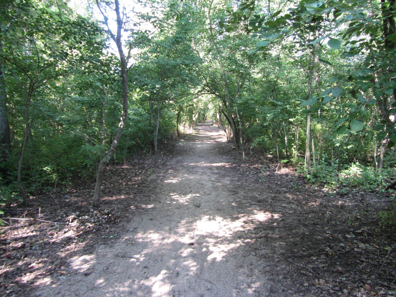 Camper submitted image from Kelleys Island State Park Campground - 3