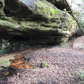 Review photo of Sipsey Wilderness Backcountry Site (Trail 200 Site L) by Asher K., March 1, 2021