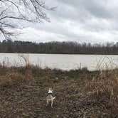 Review photo of Davis Lake Campground by Bruce F., March 1, 2021