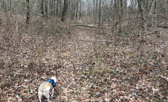 Bruce F.'s photo of camping with pets at Davis Lake Campground near Oxford, MS