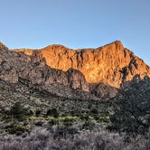 Review photo of Chisos Basin Campground — Big Bend National Park by Shari  G., March 1, 2021