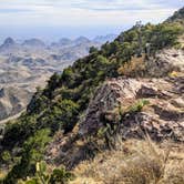 Review photo of Chisos Basin Campground (Big Bend, Tx) — Big Bend National Park by Shari  G., March 1, 2021