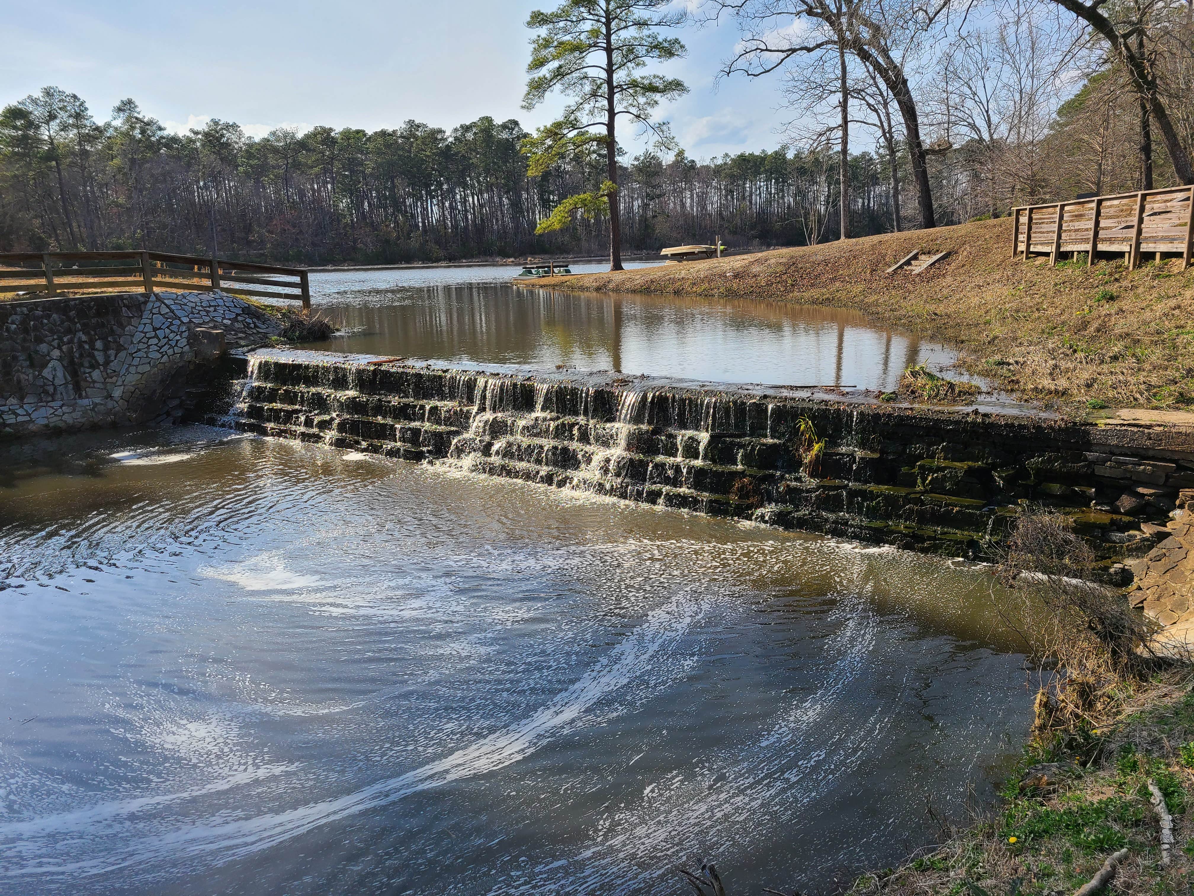 Camper submitted image from Barnwell State Park Campground - 1