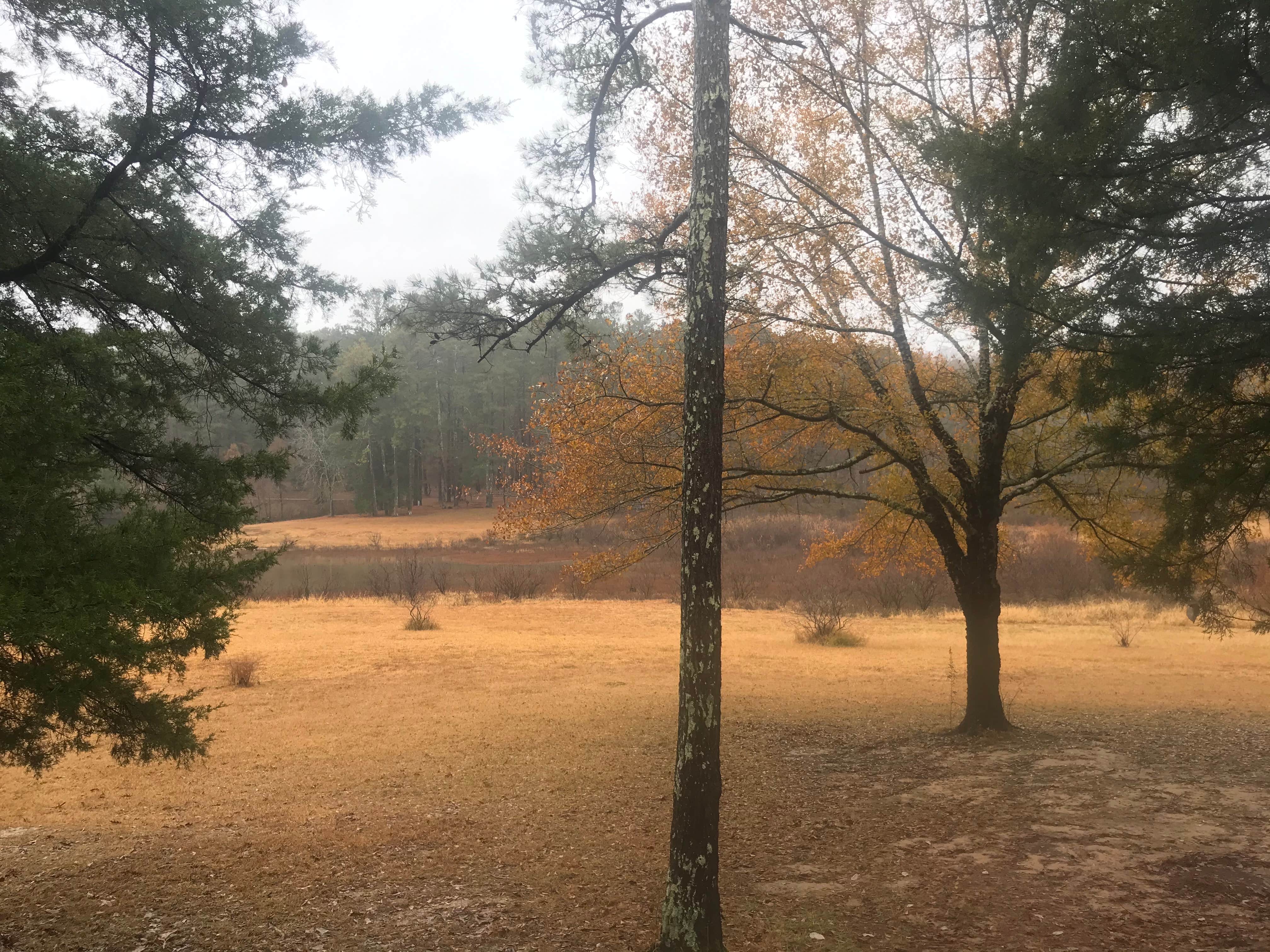 Tishomingo State Park Campground