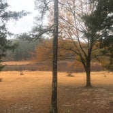 Review photo of Tishomingo State Park Campground by Bruce F., March 1, 2021