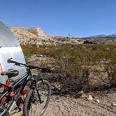 Review photo of Big Bend NP - Gravel Pit by Shari  G., March 1, 2021