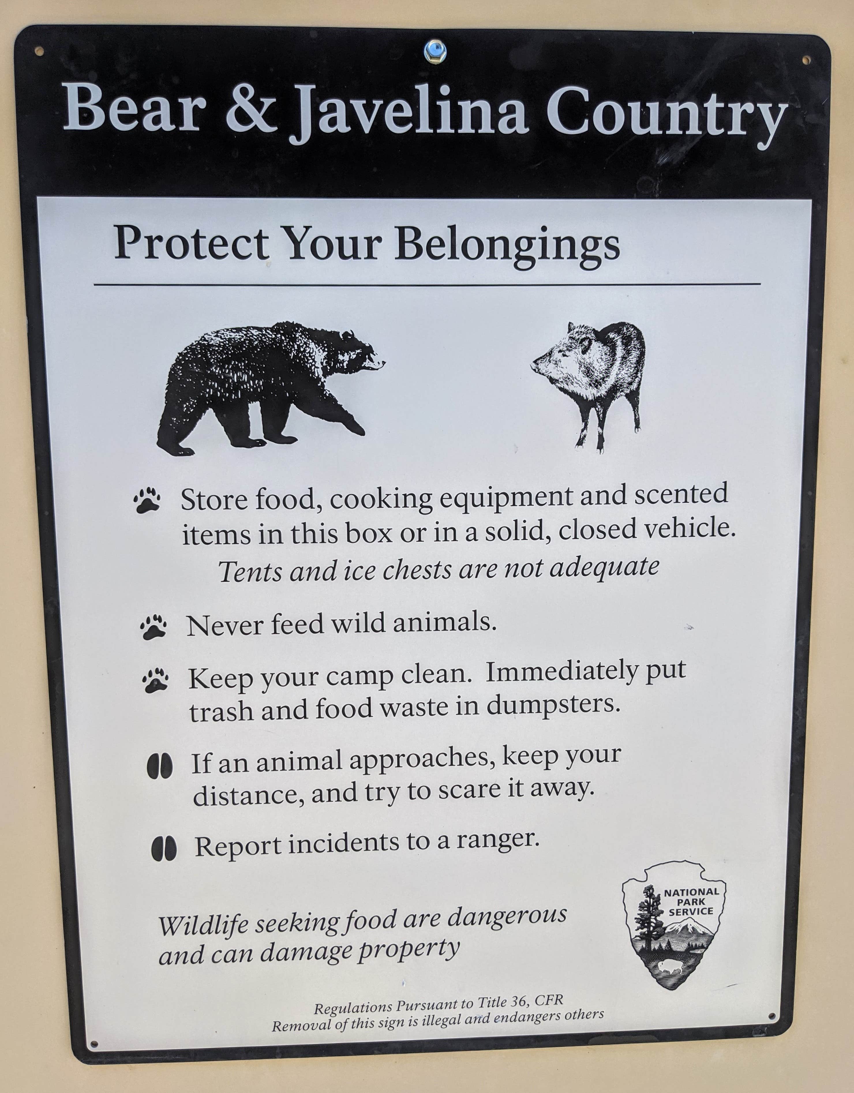 Camping near Rio Grande Village RV Campground — Big Bend National Park: Gravel Pit — Big Bend National Park, Big Bend National Park, Texas