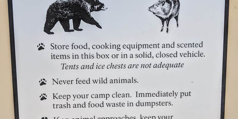 Camper submitted image from Gravel Pit — Big Bend National Park