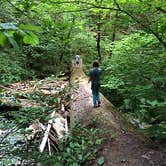 Review photo of Umpqua's Last Resort & Oregon Mountain Guides by Jennie R., May 30, 2018