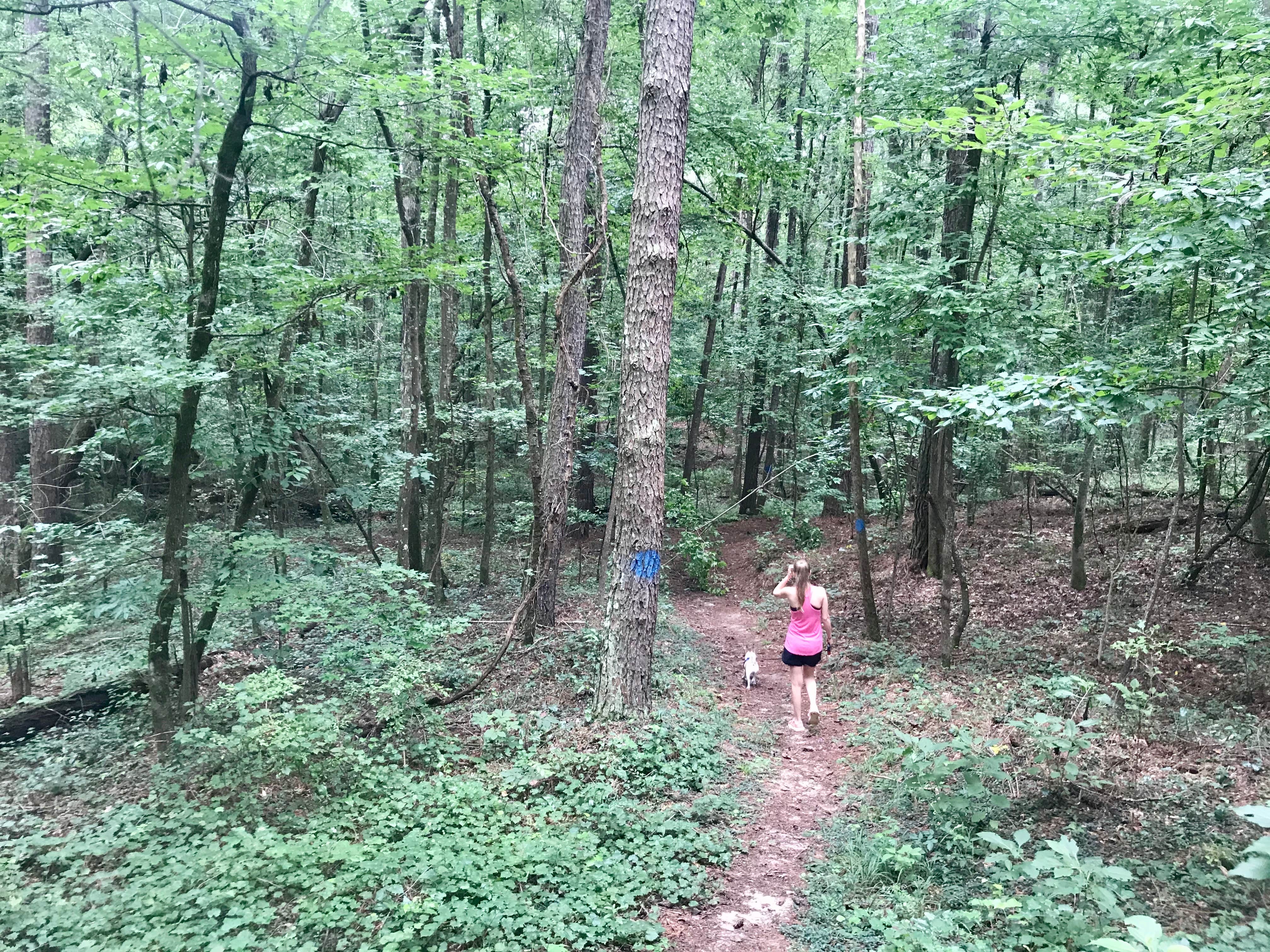Camper-submitted photo at Roosevelt State Park Campground in Mississippi
