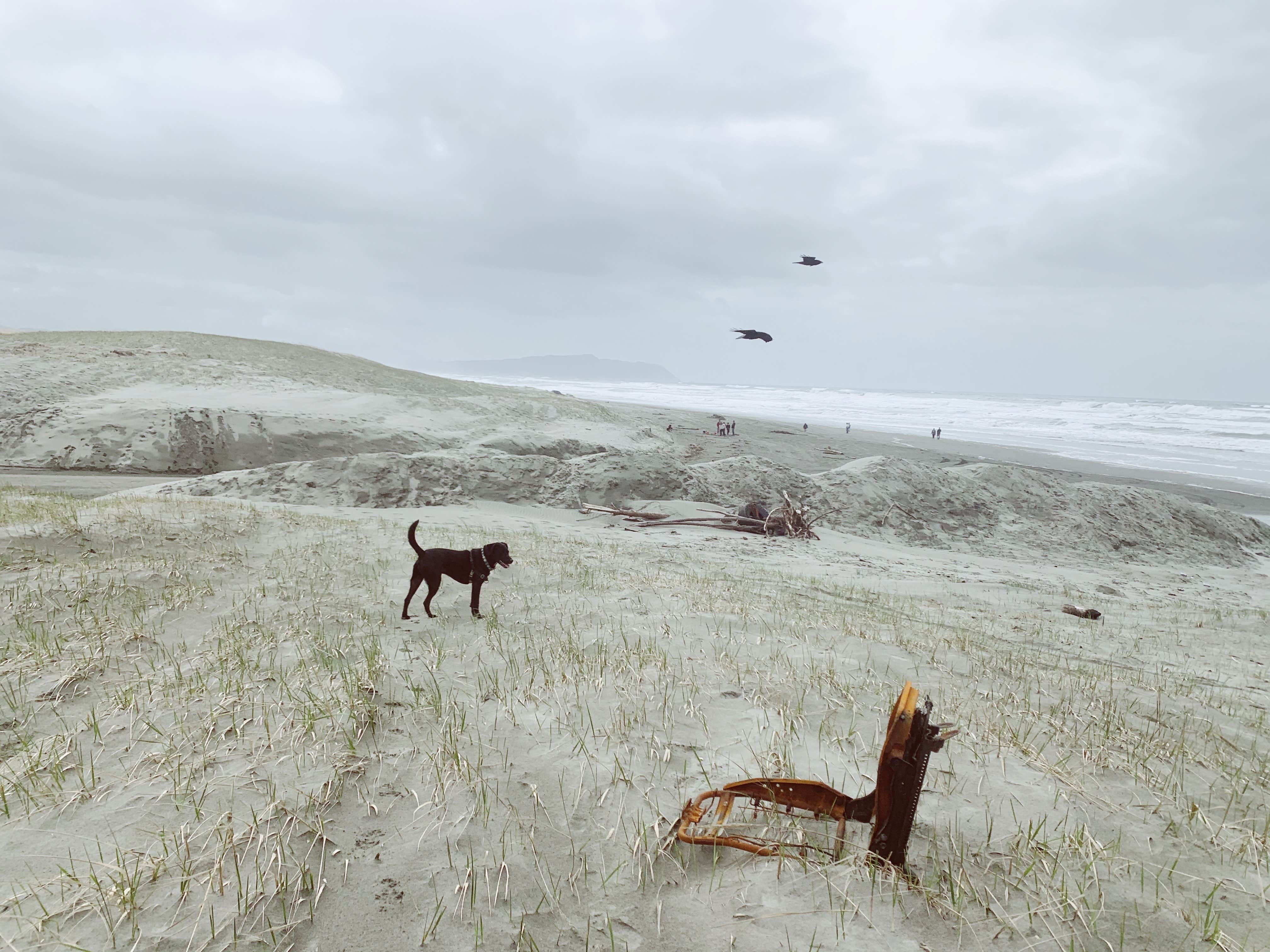 Camper-submitted photo at Astoria-Warrenton-Seaside KOA near Astoria, OR