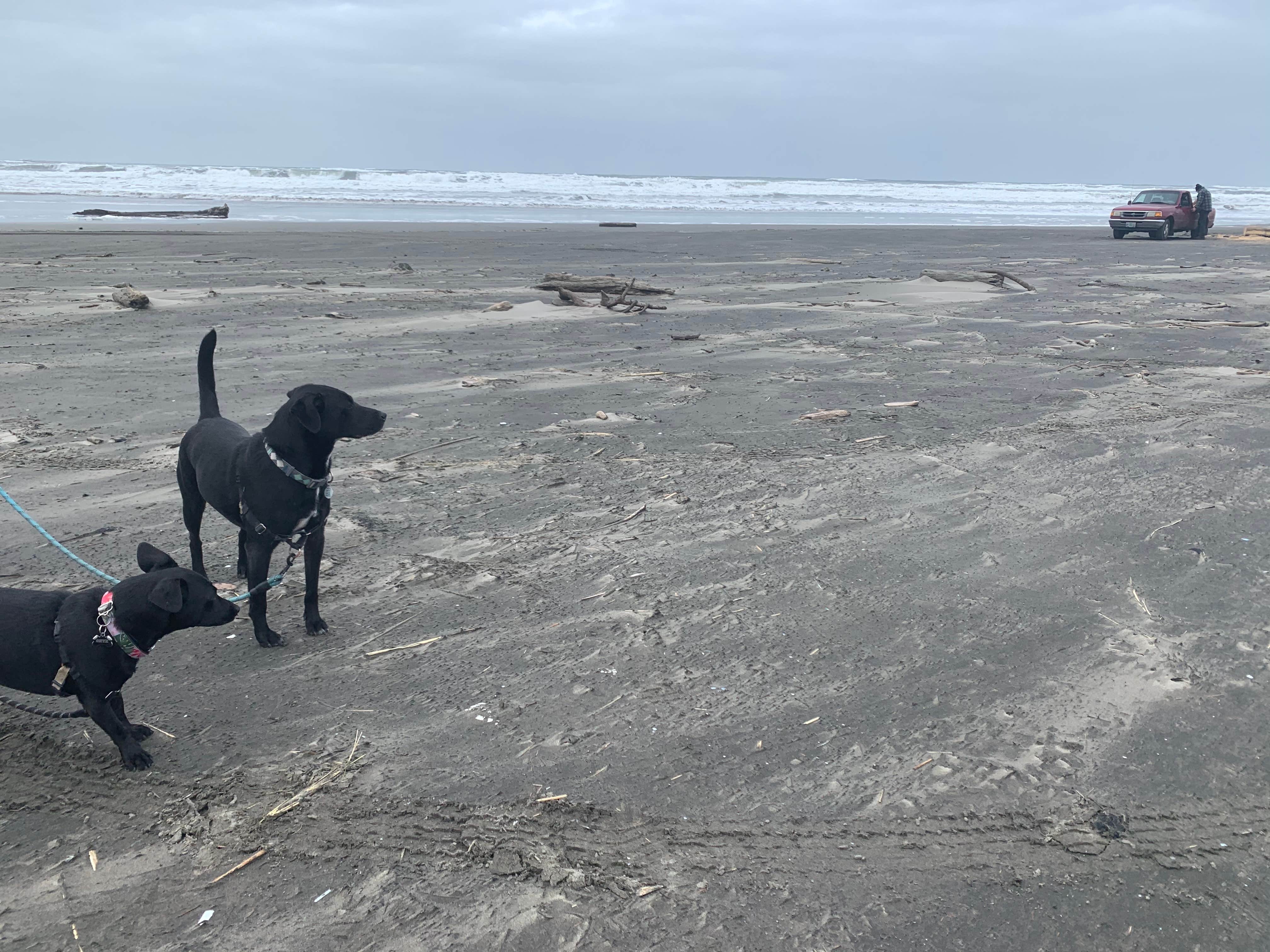 Camper-submitted photo at Astoria-Warrenton-Seaside KOA near Astoria, OR