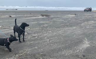 Mandy's photo of camping with pets at Astoria-Warrenton-Seaside KOA near Cannon Beach, OR