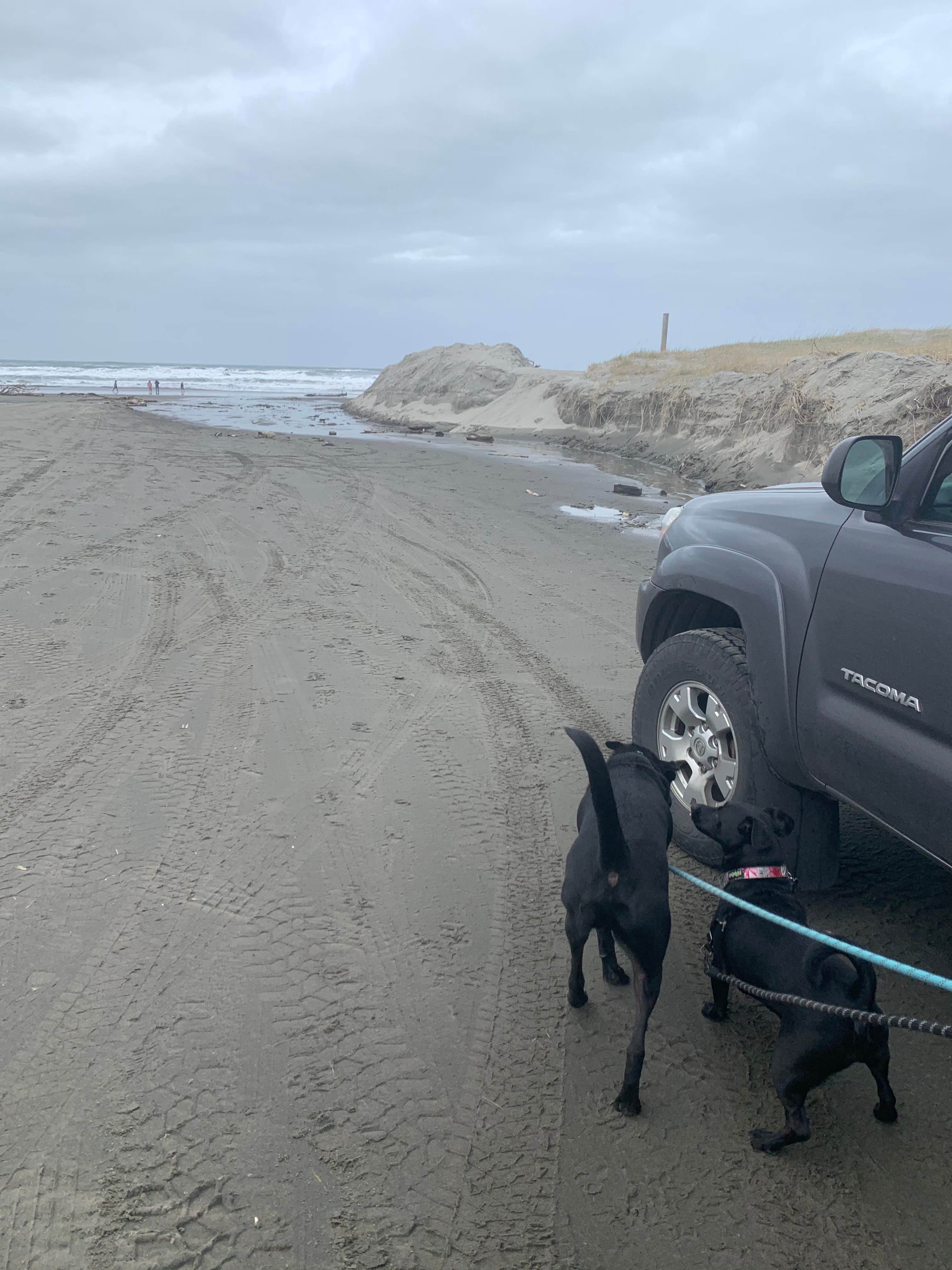 Camper-submitted photo at Astoria-Warrenton-Seaside KOA near Astoria, OR