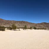Review photo of Joshua Tree Lake RV & Campground by Amanda T., March 1, 2021