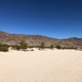 Review photo of Joshua Tree Lake RV & Campground by Amanda T., March 1, 2021