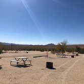 Review photo of Joshua Tree Lake RV & Campground by Amanda T., March 1, 2021