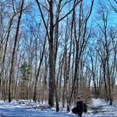 Review photo of Wolfkiel Run Shelters — Oil Creek State Park by Britt B., March 1, 2021