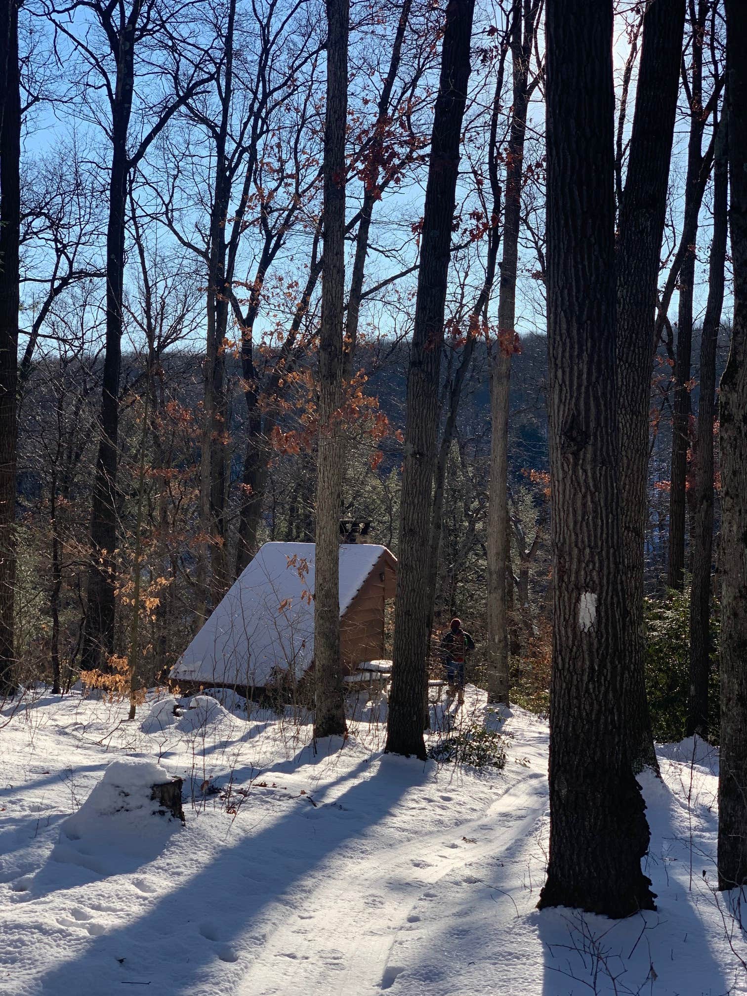Britt B.'s photo at Wolfkiel Run Shelters — Oil Creek State Park near Guys Mills, PA