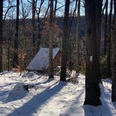 Review photo of Wolfkiel Run Shelters — Oil Creek State Park by Britt B., March 1, 2021